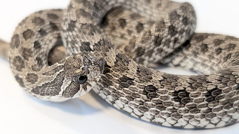 PXL_20250920_100757628~2