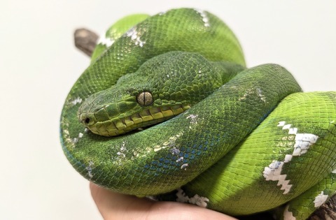 PXL_20250905_064034252~2