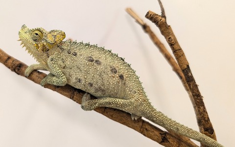 PXL_20250724_082939671~2