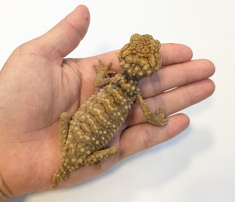 PXL_20250623_101158256~2