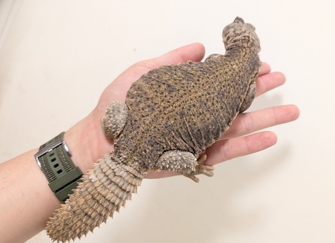 PXL_20250920_095557706~2