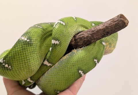 PXL_20250905_064205448