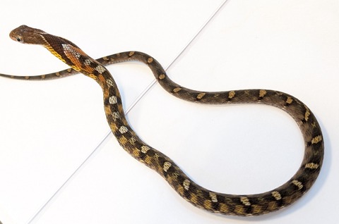 PXL_20250725_095626582~2