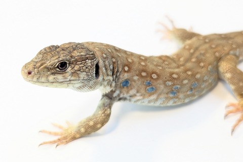 PXL_20250906_100646296~2