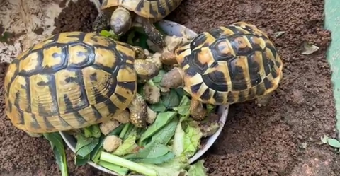 Screenshot_20251106-160923~2