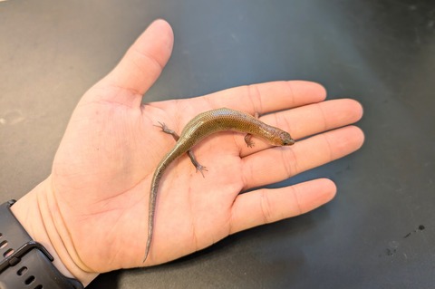 PXL_20241228_093939773~2