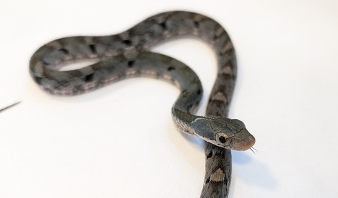 PXL_20250725_095303147~2