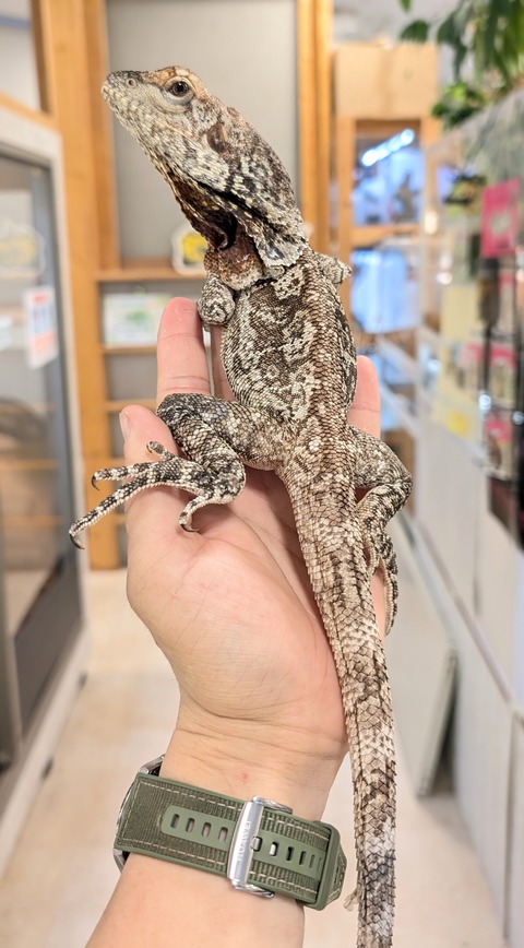 PXL_20250902_082928542~2