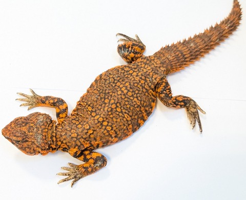 PXL_20250501_081427848~2