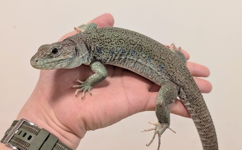 PXL_20251219_033413835~2