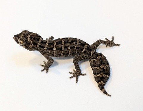 PXL_20250318_085914364~2