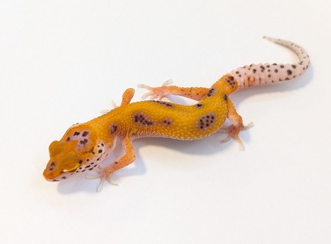 PXL_20250715_095618871~2