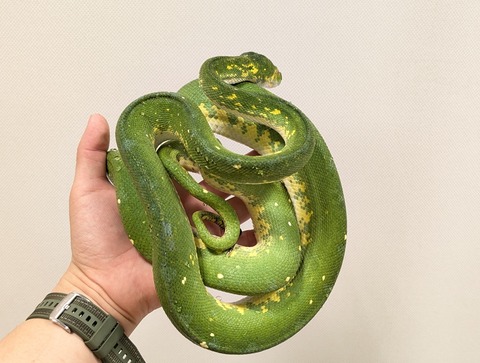 PXL_20250920_110338265~2