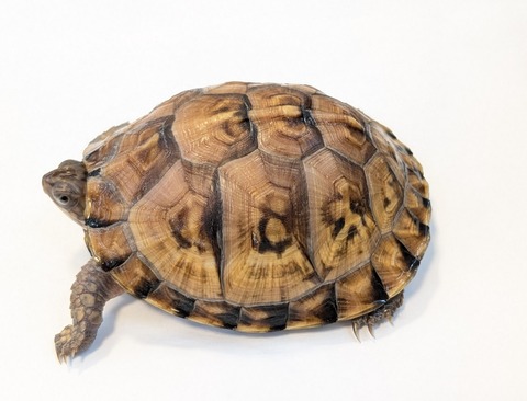 PXL_20251103_101631381~2