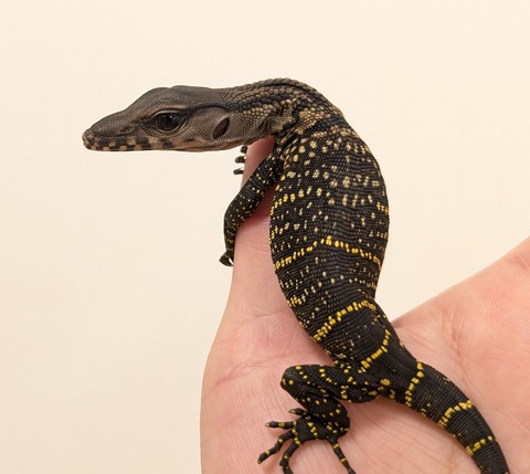 PXL_20250628_071554963~2