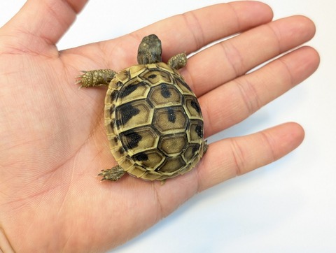 PXL_20250318_091420235~2