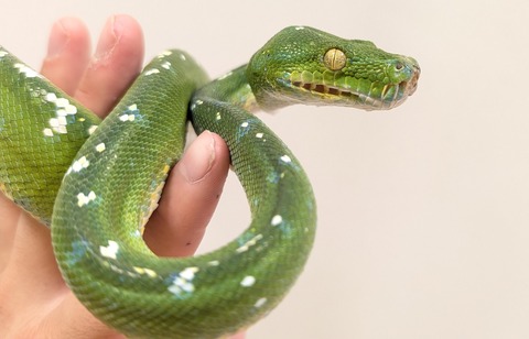 PXL_20250920_110636800~2