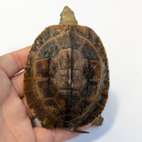 PXL_20250622_120042961~2