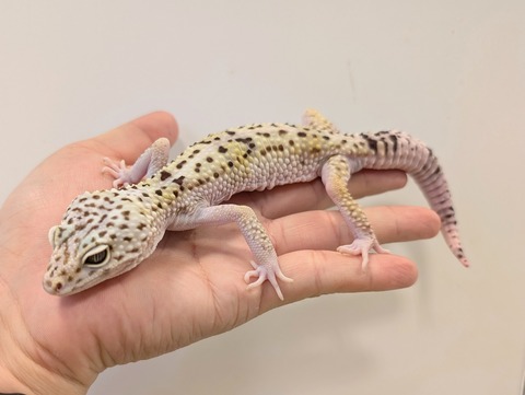 PXL_20241228_102145889~2