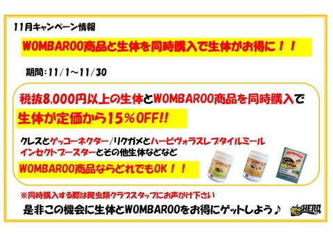 11月WOMBAROOキャンペーン_page-0001