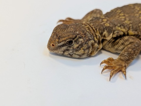 PXL_20250401_102509371~2