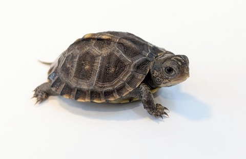 PXL_20251103_100104044~2