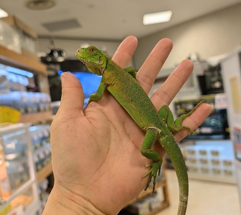 PXL_20241228_101856803~2