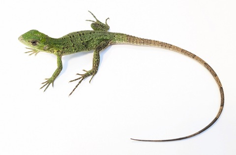 PXL_20250820_105704105~2