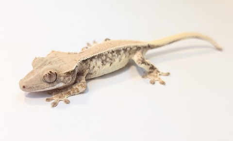 PXL_20250815_084320310~2