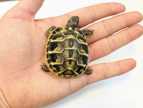 PXL_20250318_091331776~3