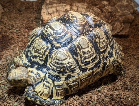 PXL_20260102_041604700~2