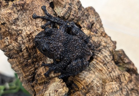 PXL_20260102_093847325~2