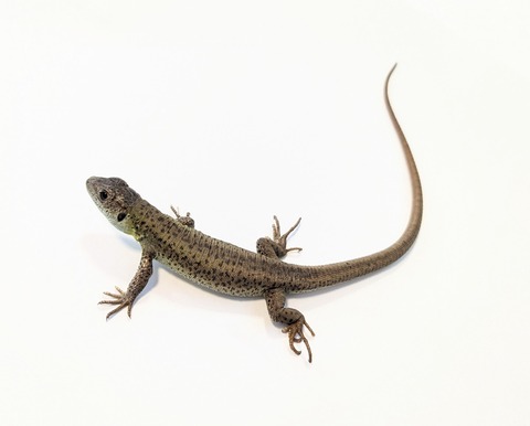 PXL_20260929_102740212~2