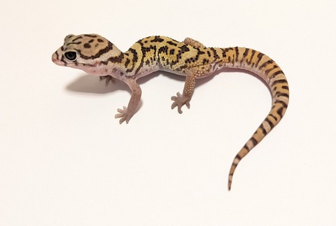 PXL_20250920_105258801~2