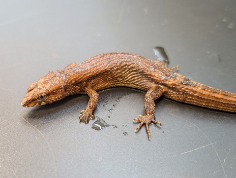 PXL_20241228_094447394~2