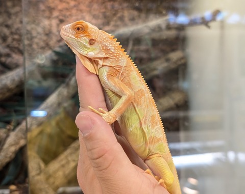 PXL_20250919_070457113~2