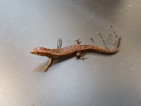 PXL_20241228_094530803