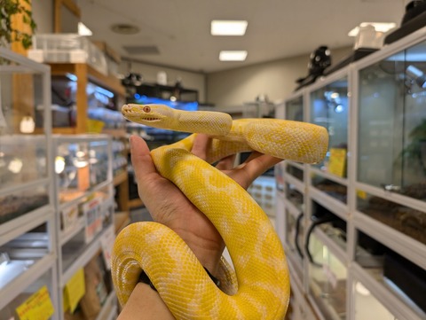 PXL_20241228_113618922~2