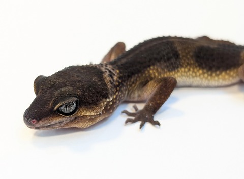 PXL_20250513_091103238~2