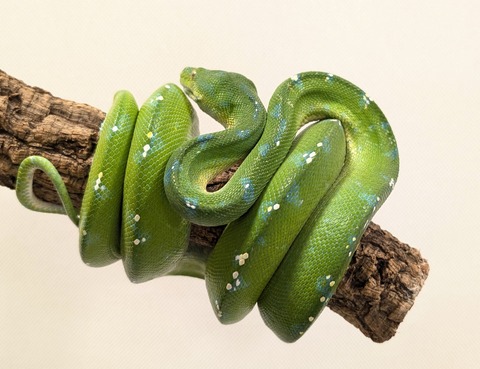 PXL_20251113_095441005~2