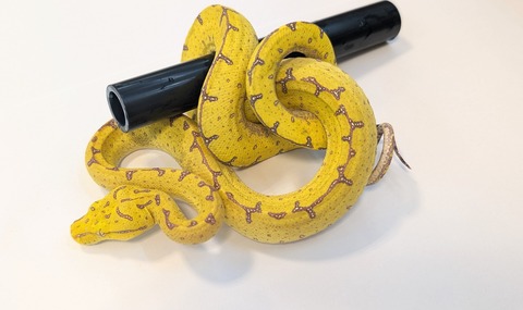 PXL_20251022_093807852~2