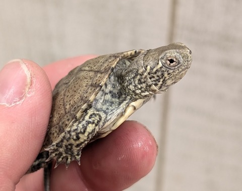 PXL_20260102_093518227~2