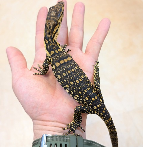 PXL_20250501_075632871~2