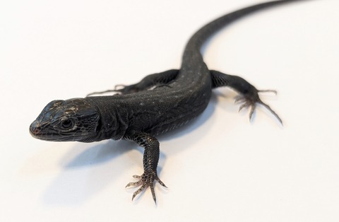 PXL_20250906_102015811~2