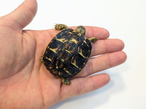 PXL_20251105_055245471~2