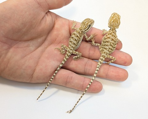 PXL_20251104_105452729~2