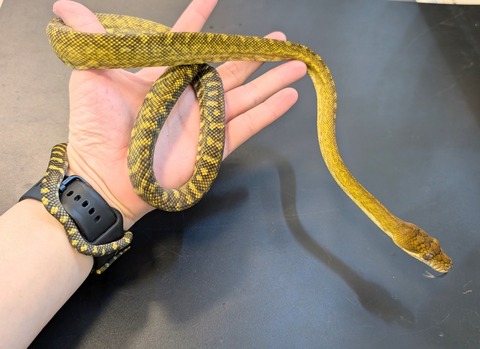 PXL_20250106_095850055~2