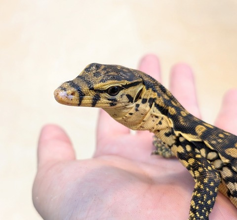 PXL_20250501_075647814~2