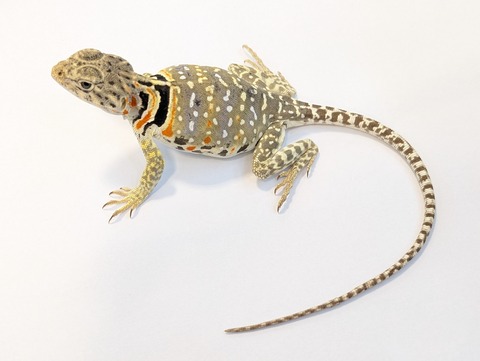 PXL_20250623_103323058~2