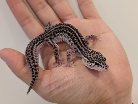 PXL_20241228_105949164